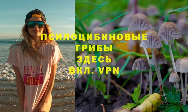 ПСИЛОЦИБИНОВЫЕ ГРИБЫ Абдулино